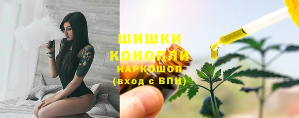 дмт Бронницы