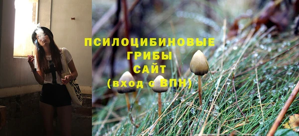 бутират Бородино