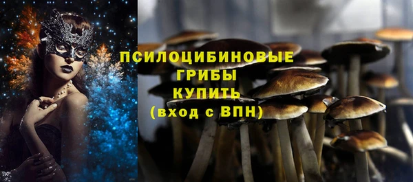 винт Белоозёрский